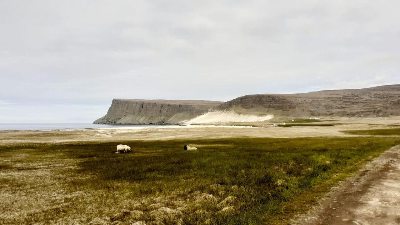 Guesthouse Bjarmaland Talknafjordur Esterno foto